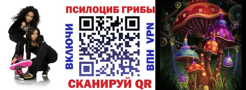 Галлюциногенные грибы прущие грибы  МЕГА ссылки  Гатчина 